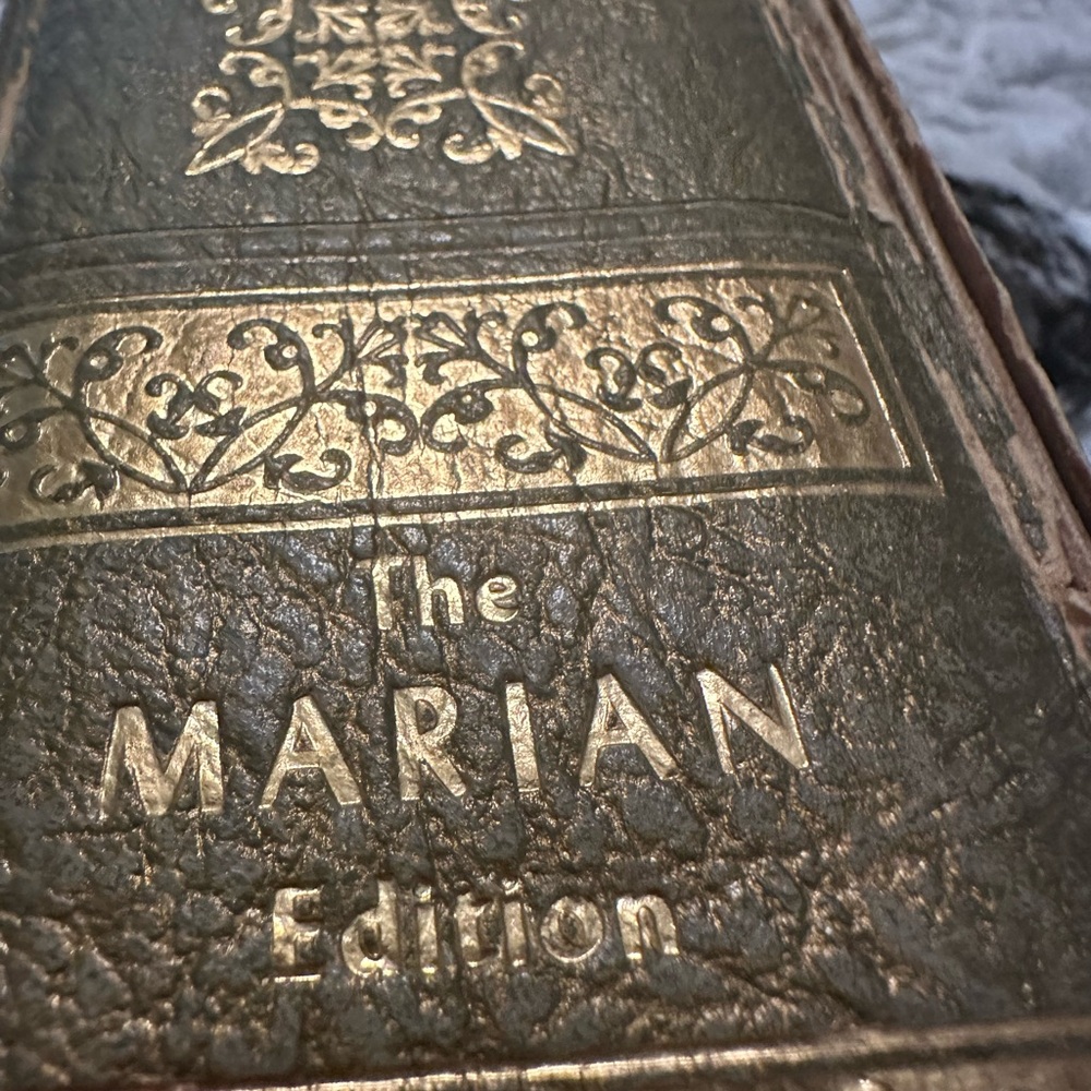 Holy Bible - Picture 4 of 4